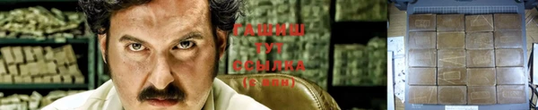СК Абинск