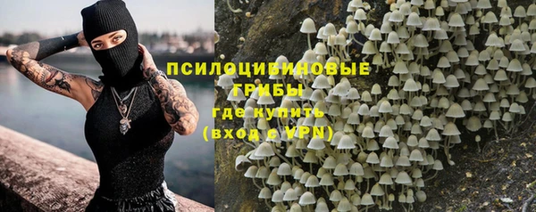 СК Абинск