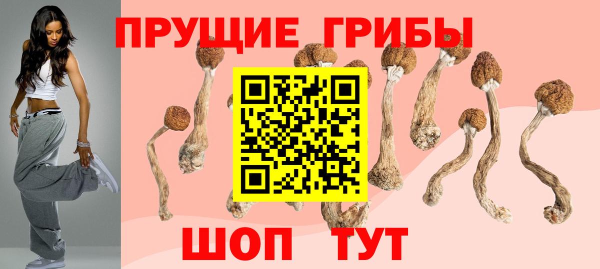 Галлюциногенные грибы MAGIC MUSHROOMS  Вход с VPN  Электросталь  Псилоцибиновые грибы MAGIC MUSHROOMS 